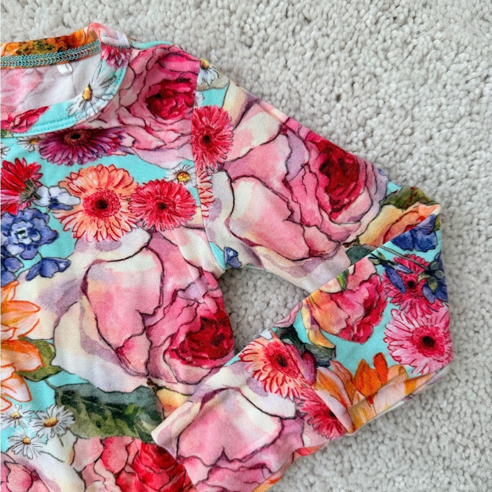 Posh Peanut Long Sleeve 2-Piece Pajama Set - Picture 4 of 11